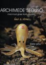Archimede Seguso Midmod Glass from Murano Lace  Stone