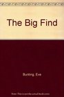 The Big Find