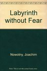Labyrinth Without Fear