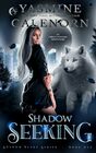 Shadow Seeking An Urban Fantasy Adventure