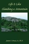Life Is Like Climbing a Mountain