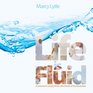 Life Is Fluid: a women\'s study from the book of Ecclesiastes