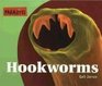 Parasites  Hookworms