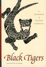 Black Tigers A Grammar of Chinese Rubbings