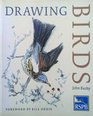 Drawing Birds An RSPBGuide