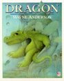 Dragon (Red Fox Picture Books)