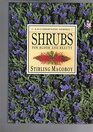Shrubs for Bloom and Beauty