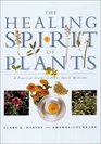 The Healing Spirit of Plants A Practical Guide to Plant Spirit Medicine