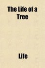 The Life of a Tree