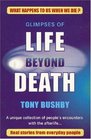 Glimpses Of Life Beyond Death A Unique Collection Of People's Encounters With The Afterlife