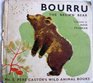 Bourru the Brown Bear