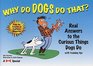 Why Do Dogs Do That  Real Answers to the Curious Things Dogs Dowith training tips