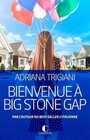 Bienvenue a Big Stone Gap