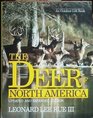 The Deer of North America