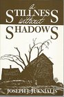 A Stillness Without Shadows