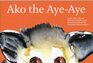 Ako the AyeAye