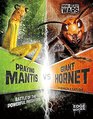 Praying Mantis vs Giant Hornet Battle of the Powerful Predators