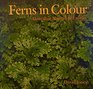 Ferns in Colour Australian Natives and Exotics