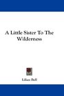 A Little Sister To The Wilderness