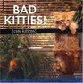Bad Kitties Celebrating Good Times And Bad Behavior