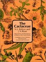 The Cactaceae Vol 1