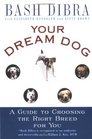 YOur Dream Dog  A Guide to Choosing the Right Breed for You