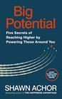 Big Potential Five Strategies to Reach New Heights of Creativity Productivity Performance and Success