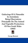 Gatherings Of A Naturalist In Australasia Being Observations Principally On The Animal And Vegetable Productions Of New South Wales