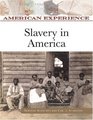 Slavery in America (American Experience)
