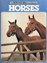 The How and Why Wonder Book of Horses