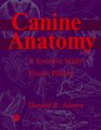 Canine Anatomy A Systematic Study