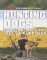 Hunting Dogs Different Breeds and Special Purposes