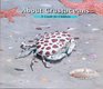 About Crustaceans A Guide for Children