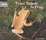 From Tadpole to Frog