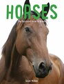 Horses The Illustrated Guide to Breeds