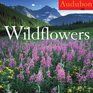 Audubon Wildflowers Calendar 2008