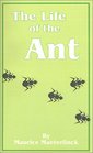 The Life of the Ant