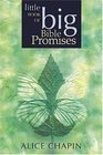 Little Book of Big Bible Promises