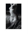 Erotique: Masterpieces of erotic photography