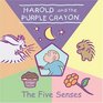 Harold and the Purple Crayon The Five Senses