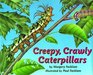 Creepy Crawly Caterpillars