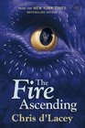 The Fire Ascending (Last Dragon Chronicles, Bk 7)