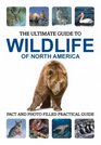 The Ultimate Guide to Wildlife of North America