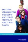 Identifying and Addressing the Needs of Adolescents and Young Adults with Cancer Workshop Summary