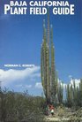 Baja California Plant Field Guide