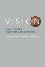Vision How It Works and What Can Go Wrong
