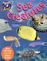 SEA CREATURES GlowintheDark Sticker Book