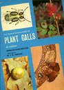 Pocket Encyclopaedia of Plant Galls in Colour