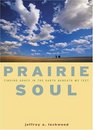Prairie Soul Finding Grace in the Earth Beneath My Feet