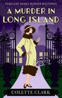 A Murder in Long Island A 1920s Historical Mystery